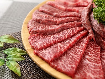 사진첩